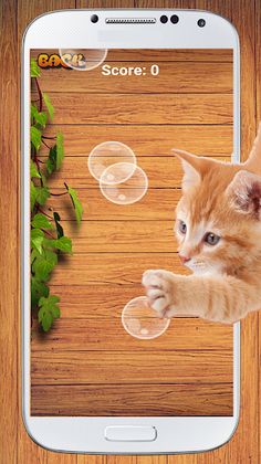 Cat Game - Bubble Pop - Screenshot 3