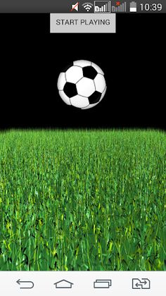 Penalty Kick - Screenshot 1