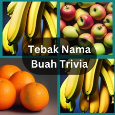 Tebak Nama Buah Trivia - Screenshot 1