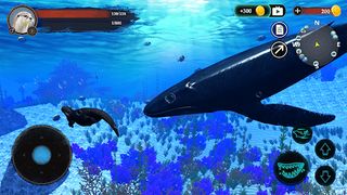 The Otter - Screenshot 1