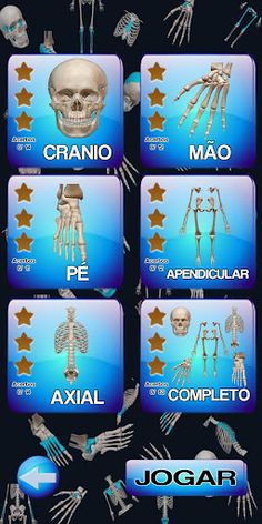 Quiz anatomia fácil 2.0 - Screenshot 2