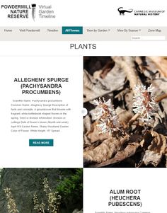 AR Perpetual Garden - Screenshot 4