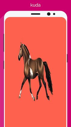 tebak nama hewan dan binatang - Screenshot 4