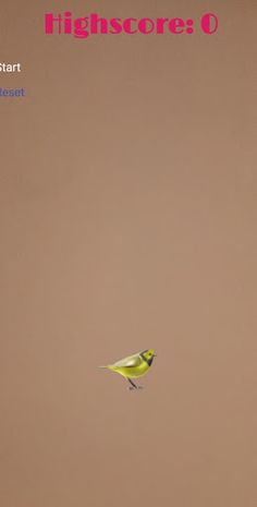 Birdy - Screenshot 1