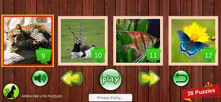 Awesome Life Puzzles - Screenshot 3