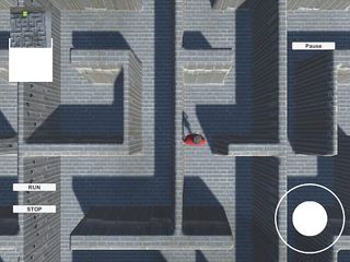Endless Maze Runner Survival - Screenshot 2