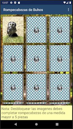 Rompecabezas de Buhos - Screenshot 2