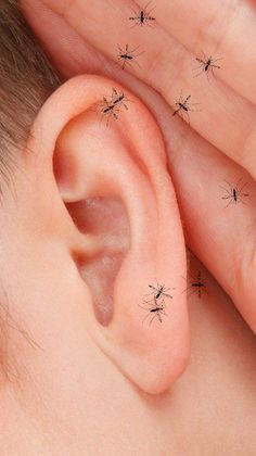 Esmagar Mosquito – zumbido - Screenshot 1