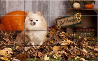 Tile Puzzle Pomeranian Dogs - Screenshot 1