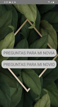 Preguntas - Screenshot 2