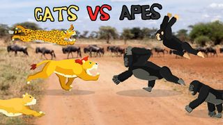 Lion Fights Gorilla - Screenshot 2