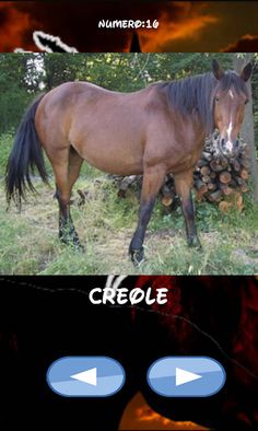 Horses, which one is hiding - Screenshot 3