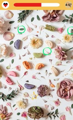 Playing Spot the Difference! - Screenshot 2