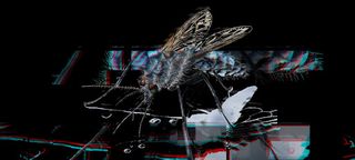 Swat Frenzy - Screenshot 1