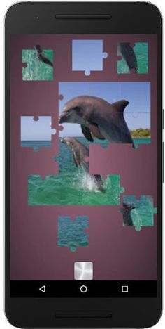 Real Dolphins Game : Jigsaw Pu - Screenshot 3