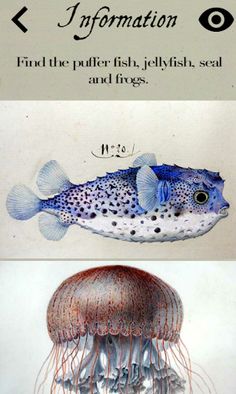 The Art of Science AR - Screenshot 2