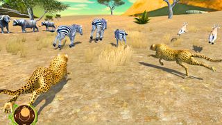Wild Cheetah Attack Simulator - Screenshot 2