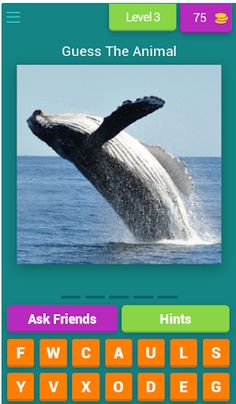 Aquatic Race - Screenshot 4