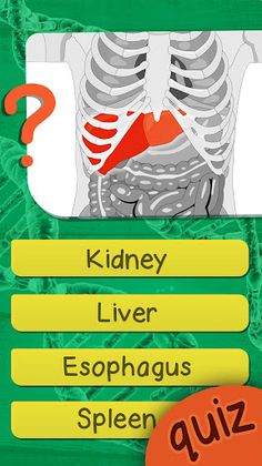 The Human Anatomy Quiz - Screenshot 2