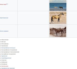 Породистые лошади - Screenshot 1