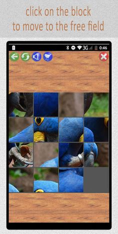 15:Birds Puzzle - Screenshot 2
