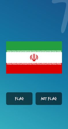 Flag, Not A Flag - Screenshot 3