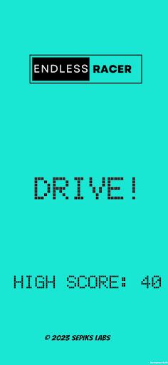 Endless Racer - Screenshot 1