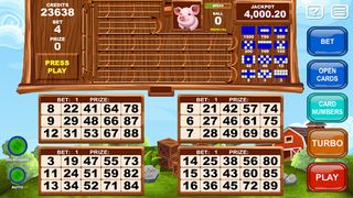 Video Bingo Little Farm - Screenshot 3