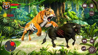 Tiger Games 3d Tiger Simulator - Screenshot 2