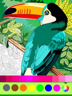 Birds Coloring Art Book - Screenshot 1