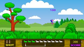Duck Hunt - Screenshot 2