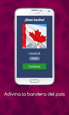 Adivina la bandera del país - Screenshot 2