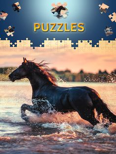 Horses Jigsaw Puzzles Free - Screenshot 1