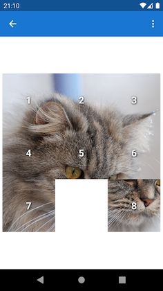 15 Photo Puzzle Mix - Screenshot 3