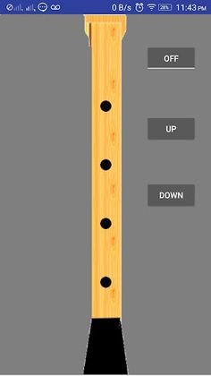 Virtual Pepa - ম'হৰ শিঙৰ পেঁপা - Screenshot 1