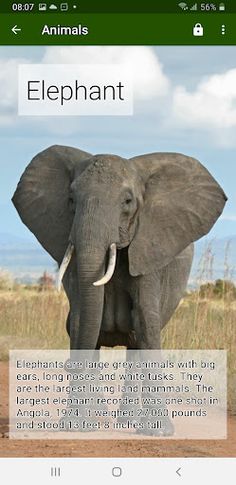 Educational Edit Book - Screenshot 1