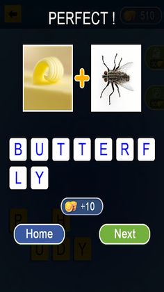 Two Picture One Word Puzzle - Screenshot 3