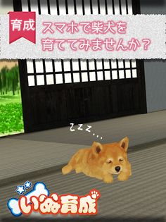 Shibainu Simulation Game 3D - Screenshot 4