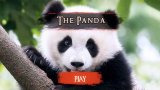 The Panda - Screenshot 2