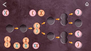 Escapeplay Divisão Celular - Screenshot 2