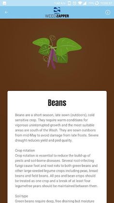 Weed Zapper - Screenshot 4