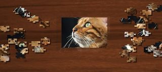 Fantastic Jigsaw Puzzle : Cats - Screenshot 3