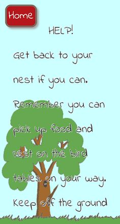 Doodle Bird - Screenshot 3