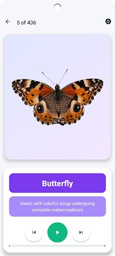 Children's Quiz - Screenshot 4