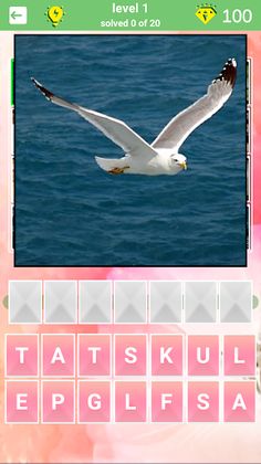 800 words - Screenshot 4