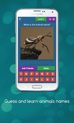 Guess and Learn Animals names - Screenshot 3