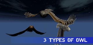 Owl Hunting Journey - Screenshot 1