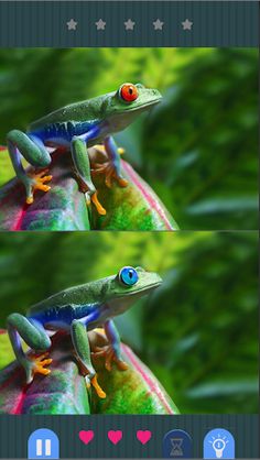 Spot The Differences Master - Screenshot 1