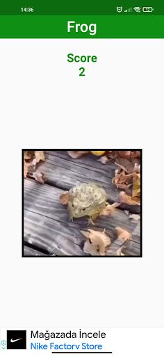 Frog - Jumping Frog - Screenshot 2