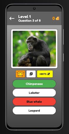 Animals Quiz - Screenshot 4
